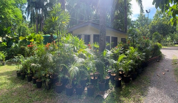 Botanical Garden-1