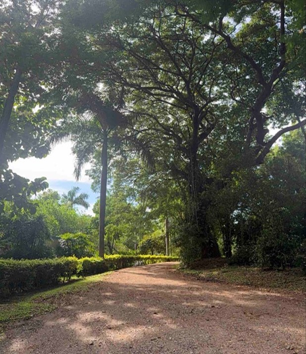 Botanical Garden-2
